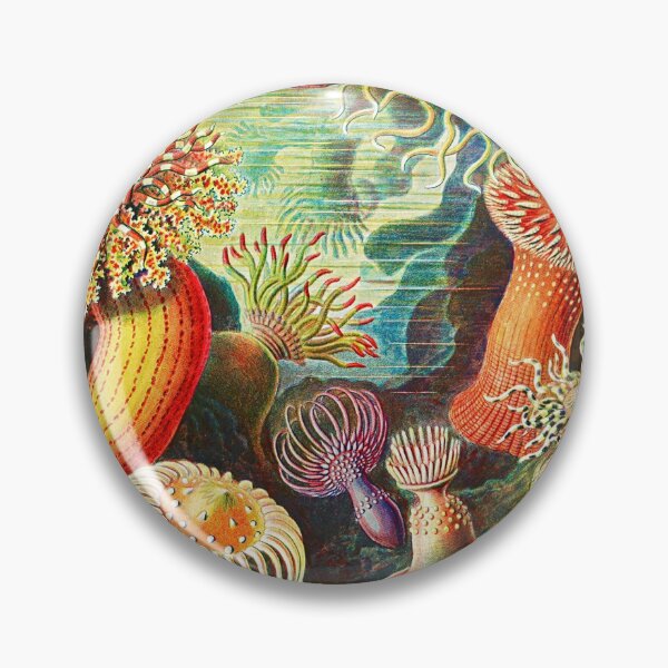 Item preview, Sea Life Anemone by Ernst Haeckel designed and sold by Branka.