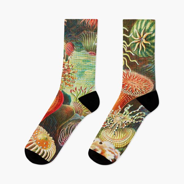 Item preview, Sea Life Anemone by Ernst Haeckel designed and sold by Branka.
