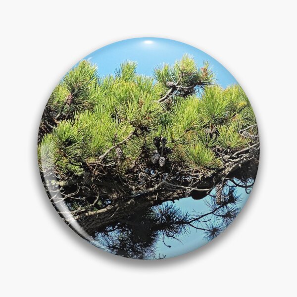 Item preview, Mediterranean Pine Tree Branch designed and sold by Anna Lemos.