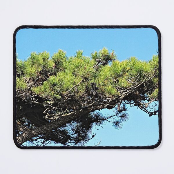 Item preview, Mediterranean Pine Tree Branch designed and sold by Anna Lemos.