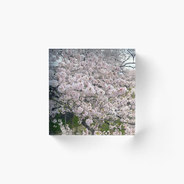 Artikelvorschau, Kirschblüte entworfen und verkauft von princesseCam1.