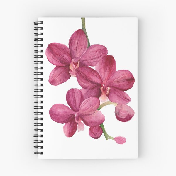 Item preview, Pink Phalaenopsis Orchid designed and sold by artofsuff.