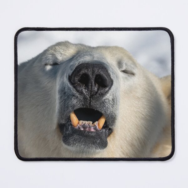 Item preview, Portrait polar bear designed and sold by Ingo Gerlach.