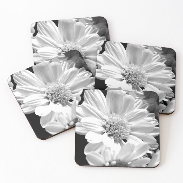Item preview, Dramatic daisy designed and sold by FocalSpot.
