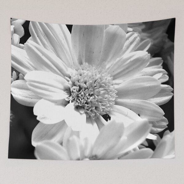 Item preview, Dramatic daisy designed and sold by FocalSpot.