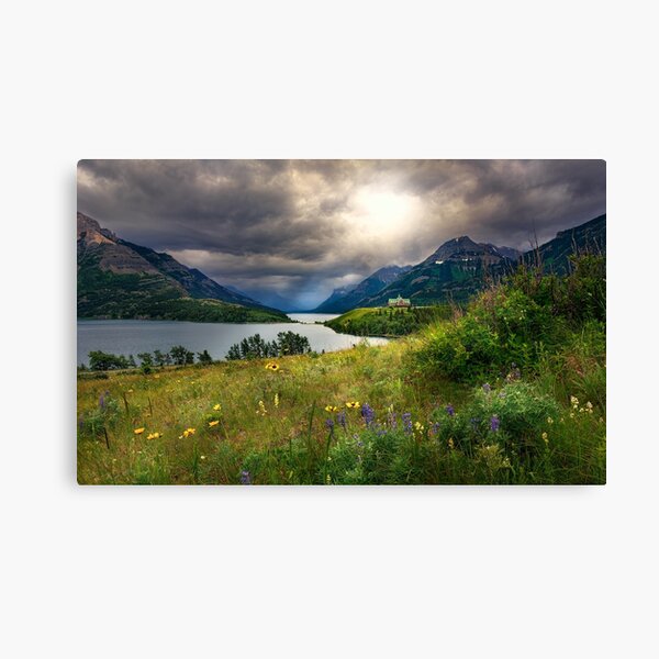 Waterton Wild Flowers Canvas Print