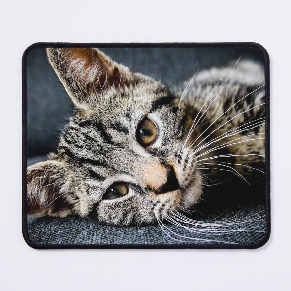 Item preview, model cat designed and sold by StarComerce.