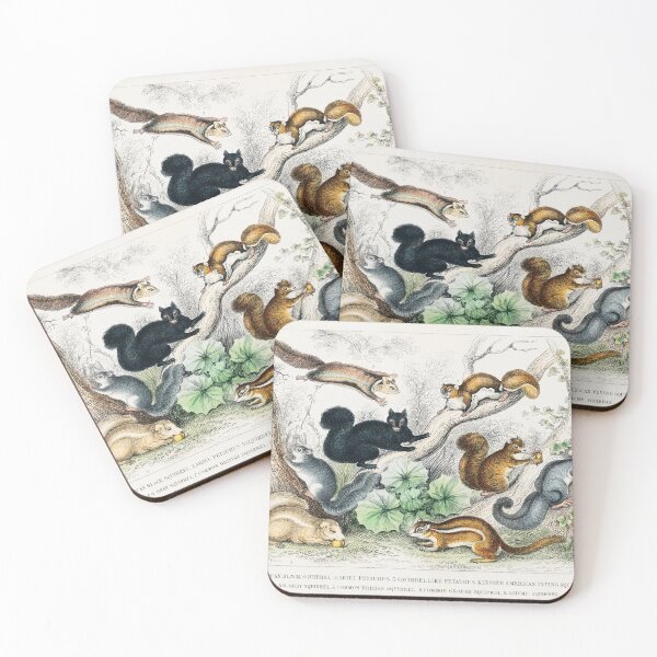 Item preview, Collection of Squirrels designed and sold by Nikiolilalala.