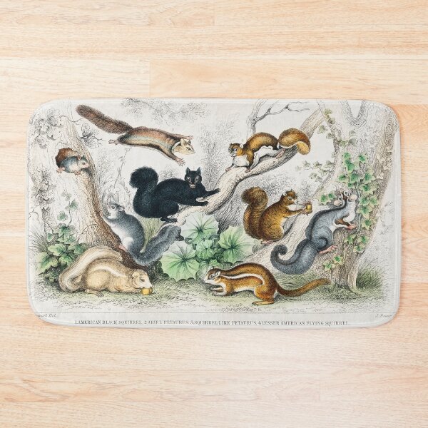Item preview, Collection of Squirrels designed and sold by Nikiolilalala.