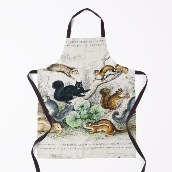 Item preview, Collection of Squirrels designed and sold by Nikiolilalala.