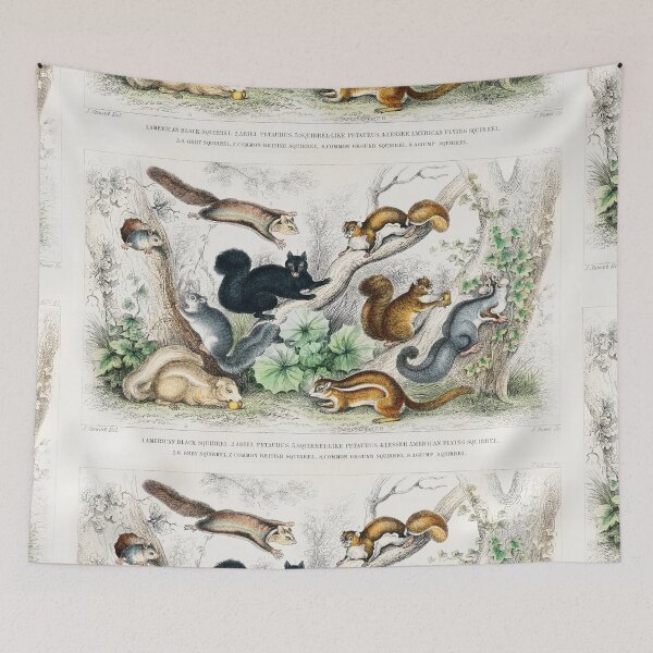 Item preview, Collection of Squirrels designed and sold by Nikiolilalala.