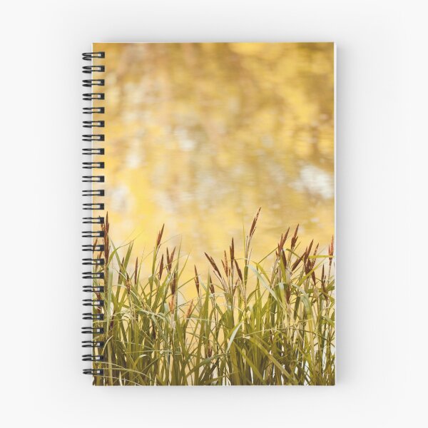 Item preview, Decorative reeds and yellow reflection  designed and sold by Arletta Cwalina.