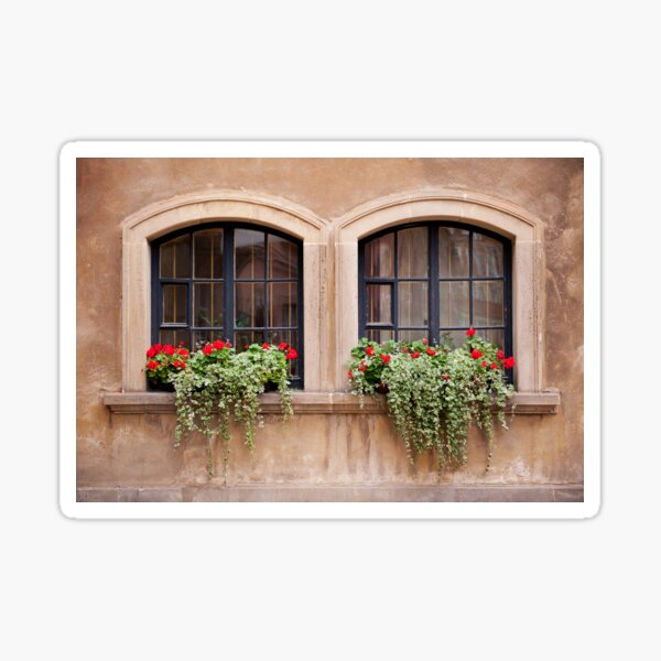 Item preview, Plectranthus Coleoides and red Pelargonium  designed and sold by Arletta Cwalina.