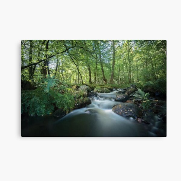 Fresh River Canvas Print