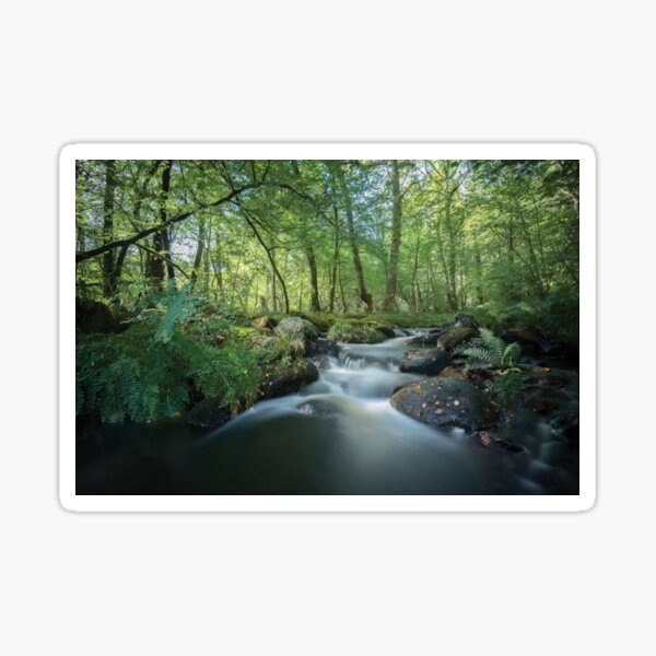 Fresh River Sticker
