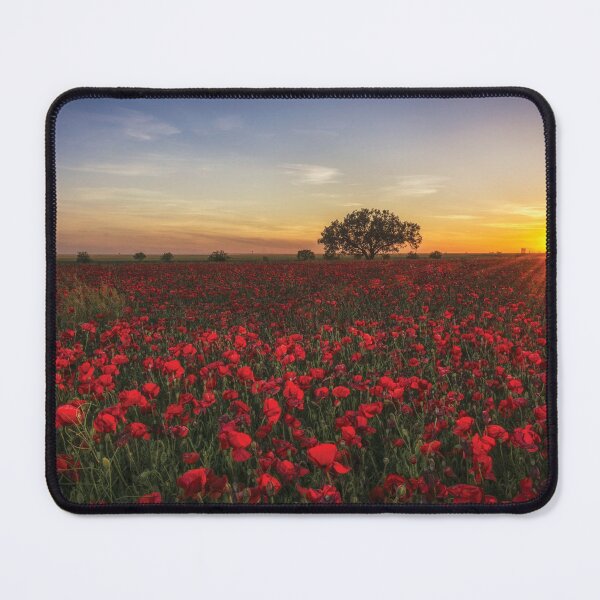 Item preview, Poppies at Sunset designed and sold by abbazabba.