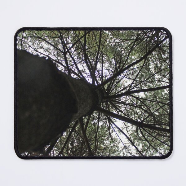 Item preview, A Different View of a Pine Tree designed and sold by Susie Kramer.