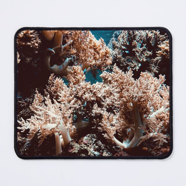 Item preview, Corals designed and sold by SilverBloom.