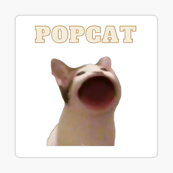 Pop Cat  Know Your Meme