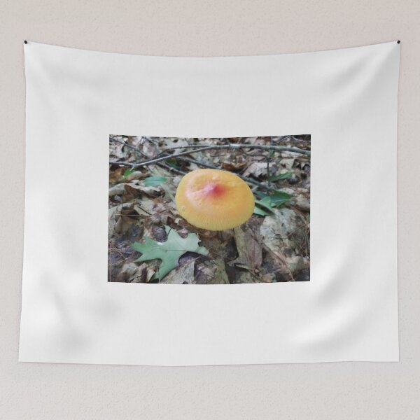 Item preview, Mushrooms of Maine #1 designed and sold by Brenroco.