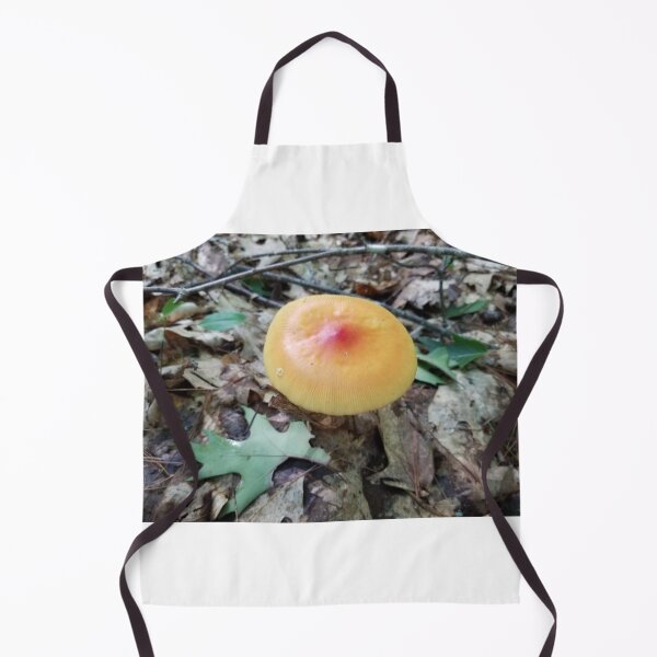Item preview, Mushrooms of Maine #1 designed and sold by Brenroco.