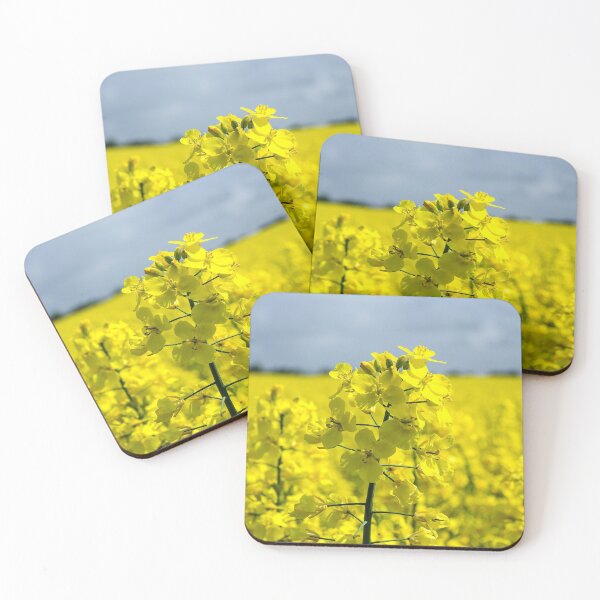 Item preview, Rapeseed yellow field designed and sold by FocalSpot.