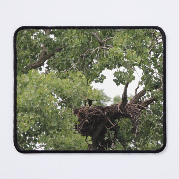 Item preview, Can you see my legs Eagles Nest designed and sold by Susie Kramer.