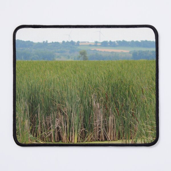 Item preview, Cattails designed and sold by Susie Kramer.