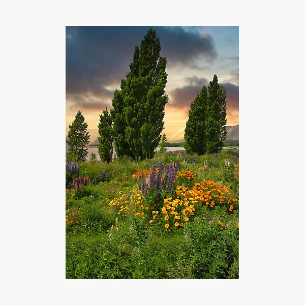 Item preview, Lake Front Wilderness designed and sold by fineartimagery.