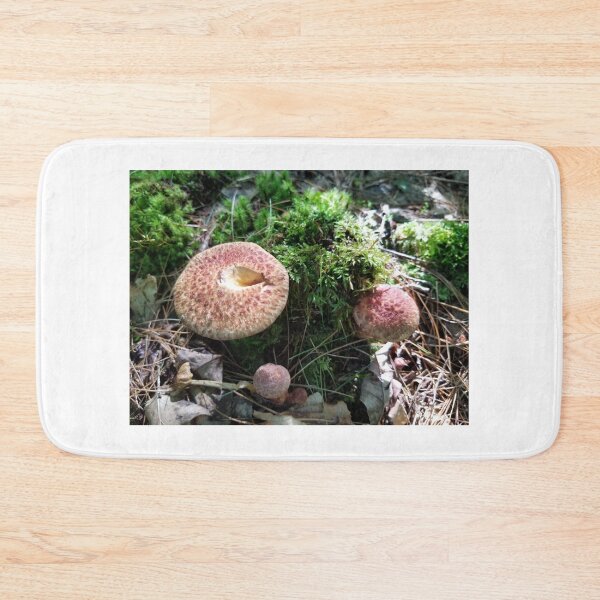 Item preview, Mushrooms of Maine #3 designed and sold by Brenroco.