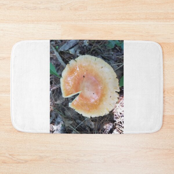 Item preview, Mushrooms of Maine #4 designed and sold by Brenroco.