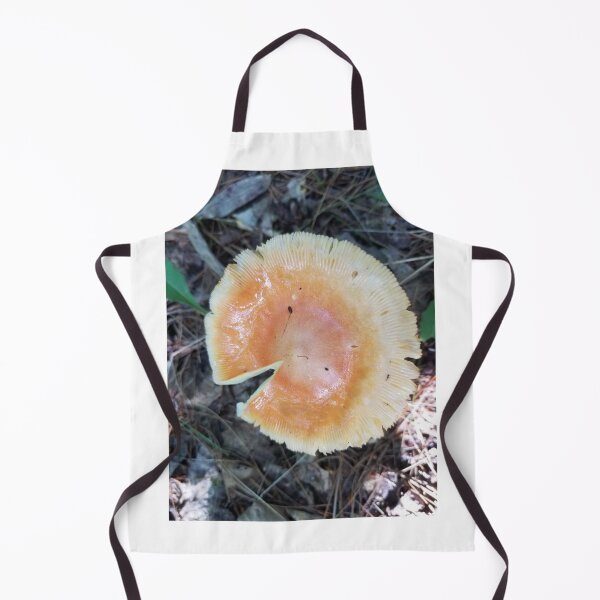 Item preview, Mushrooms of Maine #4 designed and sold by Brenroco.