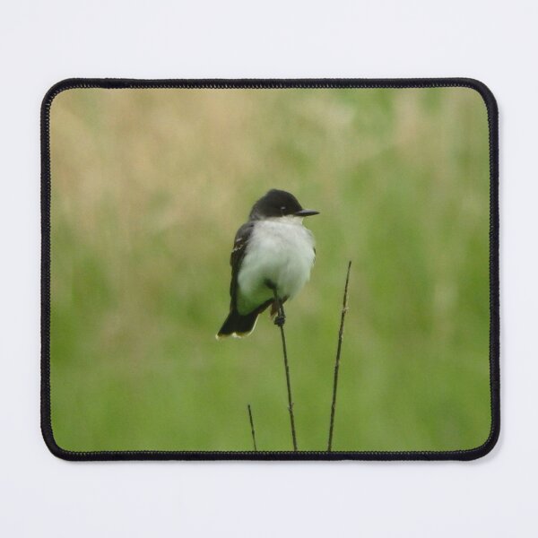 Item preview, Eastern Kingbird designed and sold by shotsfromthehip.