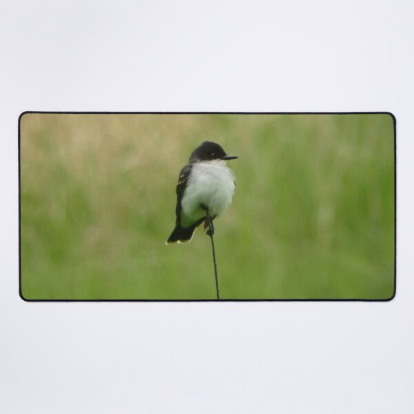 Item preview, Eastern Kingbird designed and sold by shotsfromthehip.