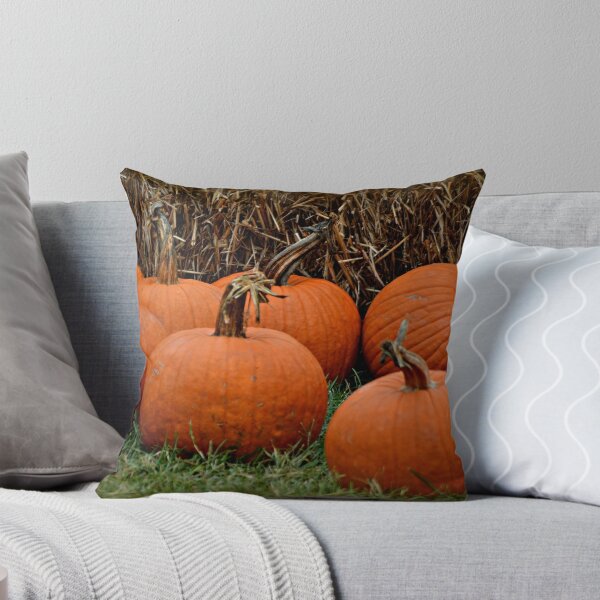Item preview, Pumpkins  designed and sold by PicsbyJody.