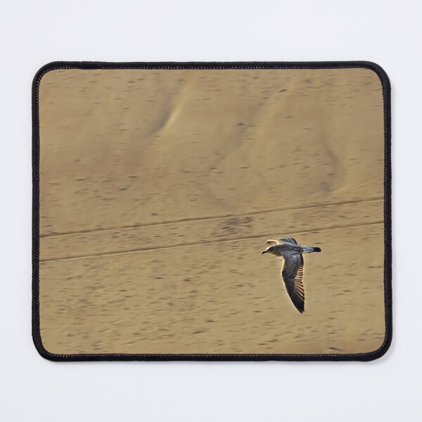 Item preview, Seagull Flying Low over the Beach designed and sold by Jeremy Hayden.