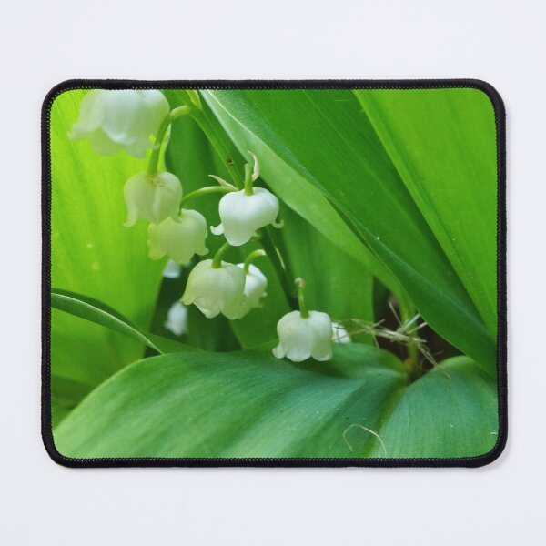 Item preview, Lily of the Valley Flowers designed and sold by Jeremy Hayden.