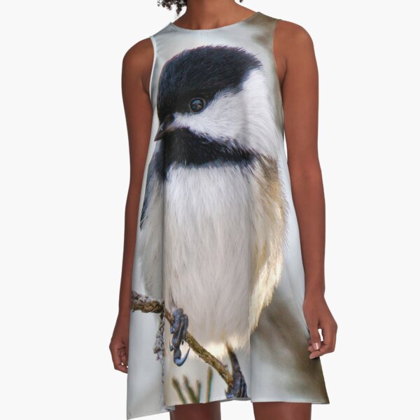 Chickadee A-Line Dress