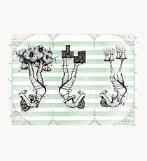 Resources Photographic Print
