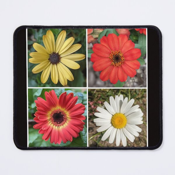 Item preview, A foursome of beauties. designed and sold by memorguson.