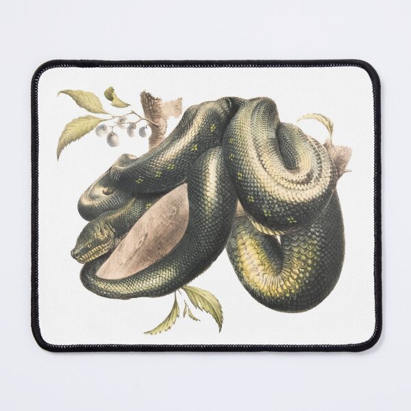 Item preview, Morelia Spilota designed and sold by INemanjaNedic.
