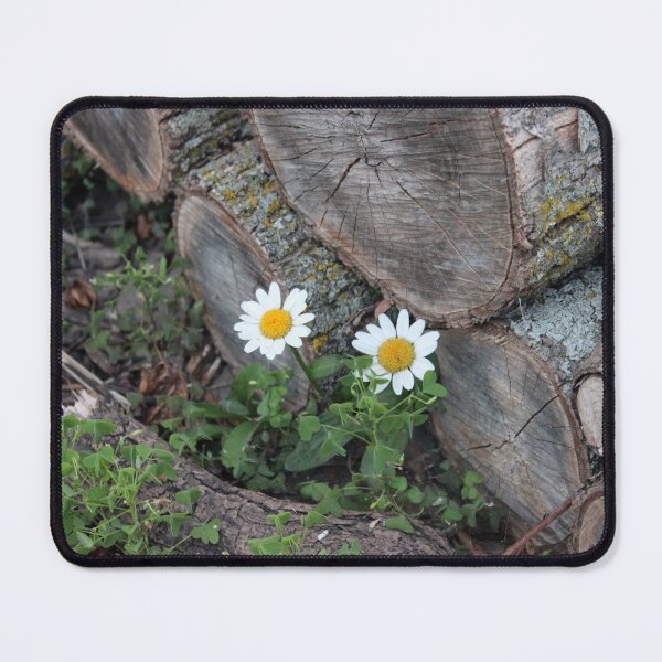 Item preview, Wild Daisies in the Apple Wood Pile designed and sold by Susie Kramer.