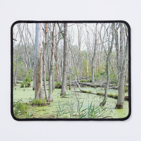 Item preview, Swamp Water and Dead Trees designed and sold by Susie Kramer.
