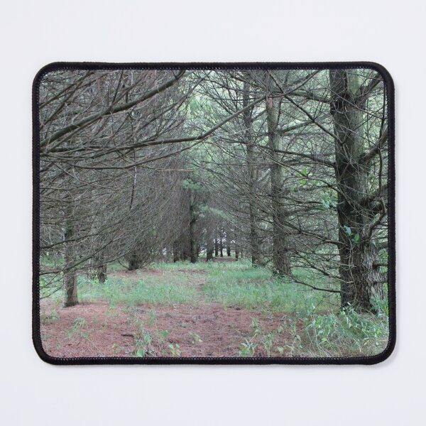 Item preview, Walking Trail in the Pines designed and sold by Susie Kramer.