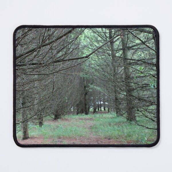 Item preview, Trail in the Pine Forest designed and sold by Susie Kramer.