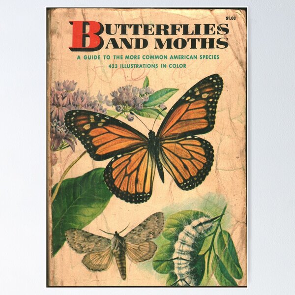 Item preview, Butterfly and Moth Field Guide designed and sold by elevens.