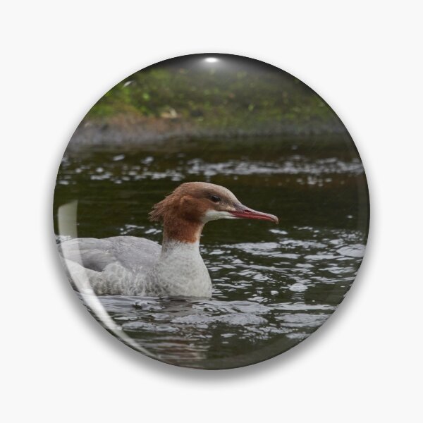 Item preview, Moment. Common merganser designed and sold by Jouko Lehto Photography.