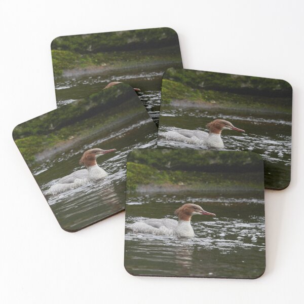 Item preview, Moment. Common merganser designed and sold by Jouko Lehto Photography.