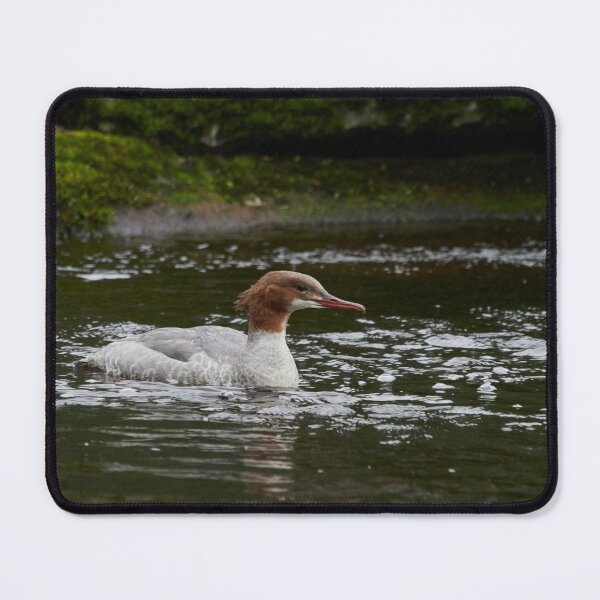Item preview, Moment. Common merganser designed and sold by Jouko Lehto Photography.