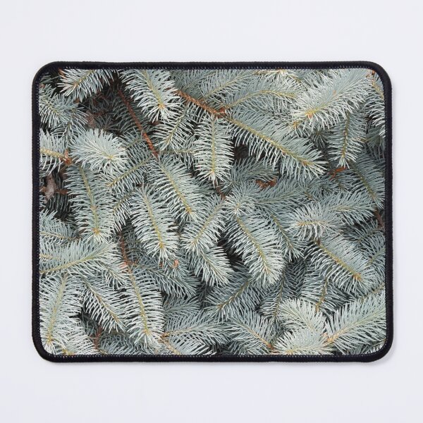 Item preview, Close Up of Blue Spruce designed and sold by Susie Kramer.